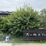天の森 - 