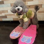 ドッグカフェ&バー ペティ レオン - 