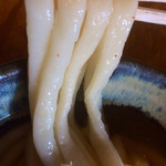 飩平庵 - 麺は太麺ずっしりタイプ。