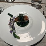 ランス・ヤナギダテ - 