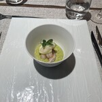 ランス・ヤナギダテ - 