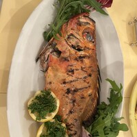 ナプレ 横浜高島屋店 - 