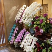 すし処 やま幸 - お祝いの胡蝶蘭が飾られていました