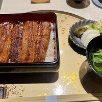 うなぎ 目白ぞろ芽 - 