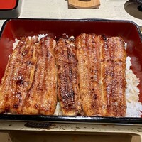 うなぎ 目白ぞろ芽 - 