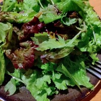 オービカ モッツァレラバー 横浜店 - ランチセットのグリーンサラダ