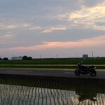 みんなのコーヒー - 