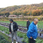 露菴 - 初めて食べる野菜を求めて。