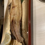 酒と鮨 ガリとあガリ - 