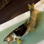 揖斐川丘苑 - 若鮎の田楽