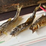 揖斐川丘苑 - 若鮎の塩焼き