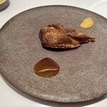 スリオラ - ハトのアドバード