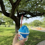 憩いの森レストハウス - ドリンク写真: