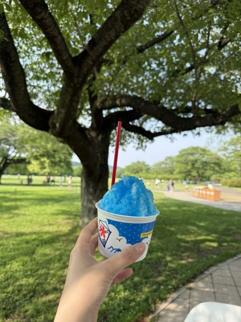 憩いの森レストハウス | 国営みちのく杜の湖畔公園のカフェ