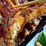 江島牡丹園 深見草 - 