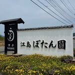 江島牡丹園 深見草 - 