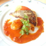 wayoudainingumo-ren - 真鯛とホタテのポワレ・トマトバターソース