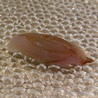 北新地 すし通 - 
