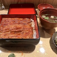 うなぎ割烹 白金台 まつ本 - 