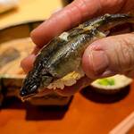 銀座 しのはら - 小鮎の握り
