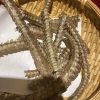 新宿うな鐵 はなれ - 
