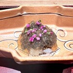 神楽坂 石かわ - 