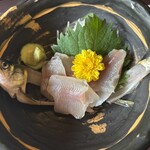 揖斐川丘苑 - 鮎の刺身