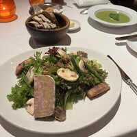 Benoit Alain Ducasse - 