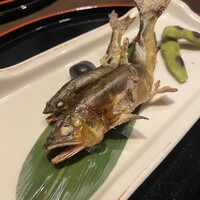 土佐料理 祢保希 日本橋店 - 仁淀川の天然鮎！