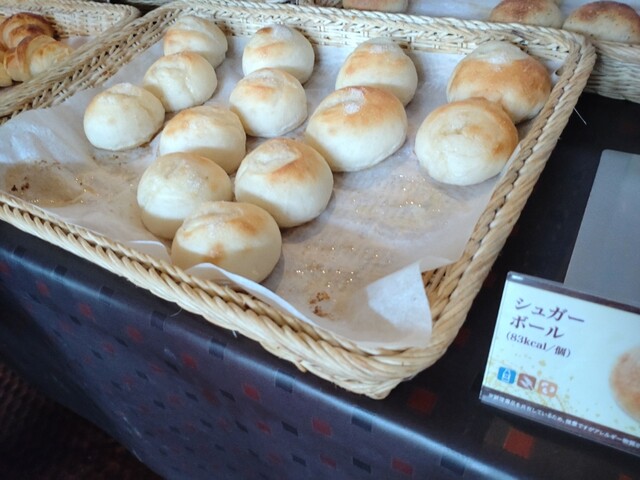 Kamakura Pasta Matsui Yamate Ten photo 3