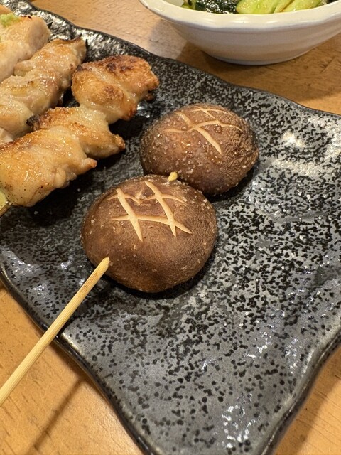 Toriichi Densho Yasumori Shoten