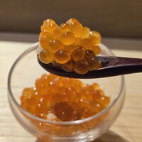 鮓 村瀬 - イクラ