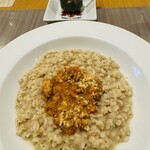 三輪亭 - 大麦のリゾット　ミートソース