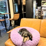 フロックス ローカル マーケット - 