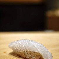 鮨 しばかつ - 赤イカ