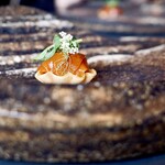 プレゼンテ スギ - 