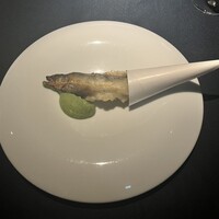 セルサルサーレ - 