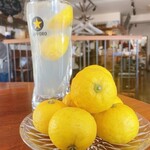 ブラーノブラーノ - 