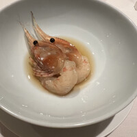 ミモザ - 