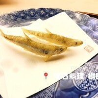 懐石料理 桝田 - 