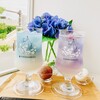 DRESSY CAFE KAMAKURA - 