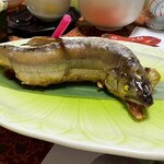 民宿 涌蓋 - 鮎。顔こわっ｡｡｡