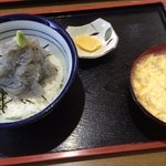 お食事処 渡舟 - 生しらす丼セット800円