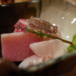 樋口 - 造りは鯛・メジマグロ(20kg以下のクロマグロ)・鱧