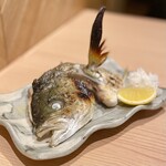 鮨酒場天王寺あべのスシトフジ - 