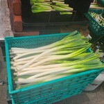 深谷農園 道の駅おかべ店 - こんな太いねぎを使います