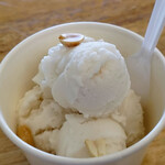 MOLTHIP Coconut Ice Cream - 