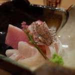 樋口 - 造りは鯛・メジマグロ・鱧