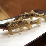 てんぷら 真 - 一本釣りのあゆ