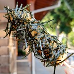 氷川だんご屋 - 